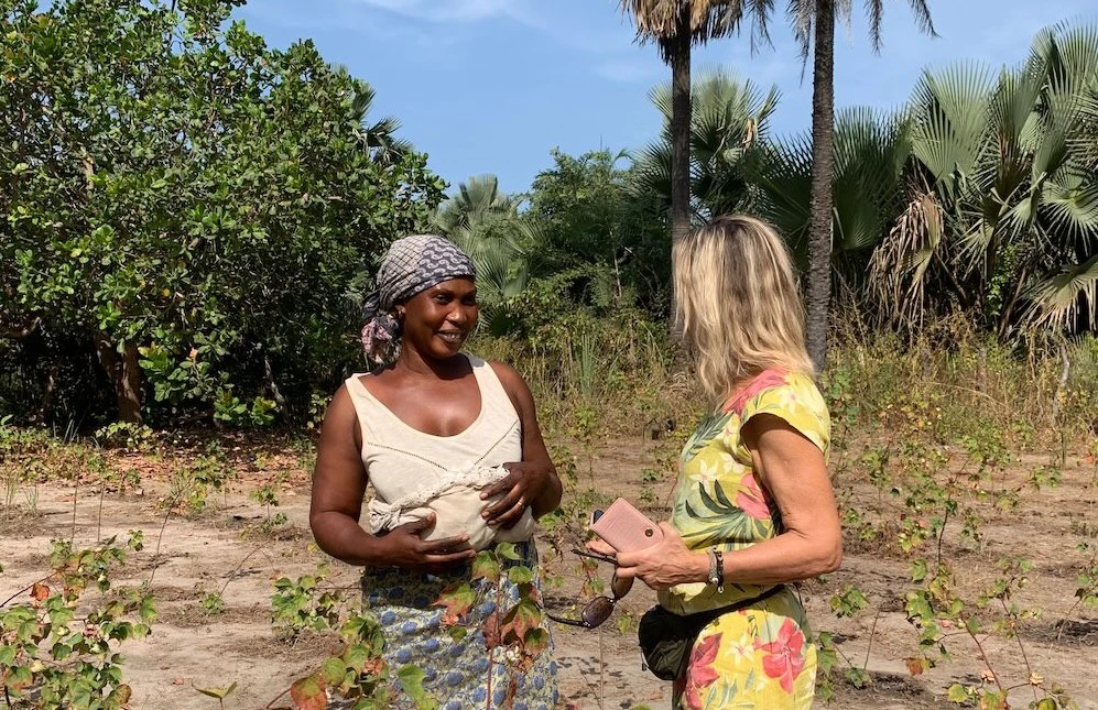 Linda in a bright yellow floral outfit speaking with a local Gambian female farmer wearing a headscarf and a pattern wrap skirt amidst small green cotton crops under tall tropical palm trees in a sunny field framework layout.
